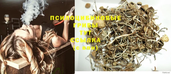 spice Богородицк